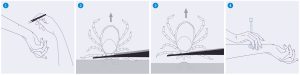 Illustrations in four panels of how to remove a tick by using tweezers and grabbing way low down near where it's embedded on the skin and pulling straight up, and then washing the skin around where it was embedded.