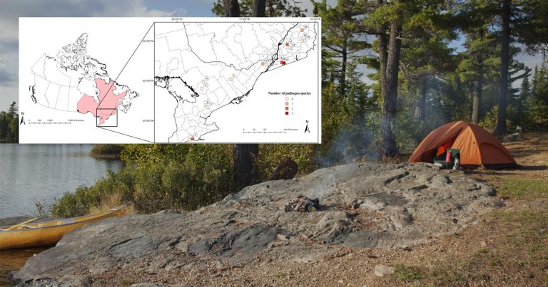 A campsite, and a map of the testing sites of this research.