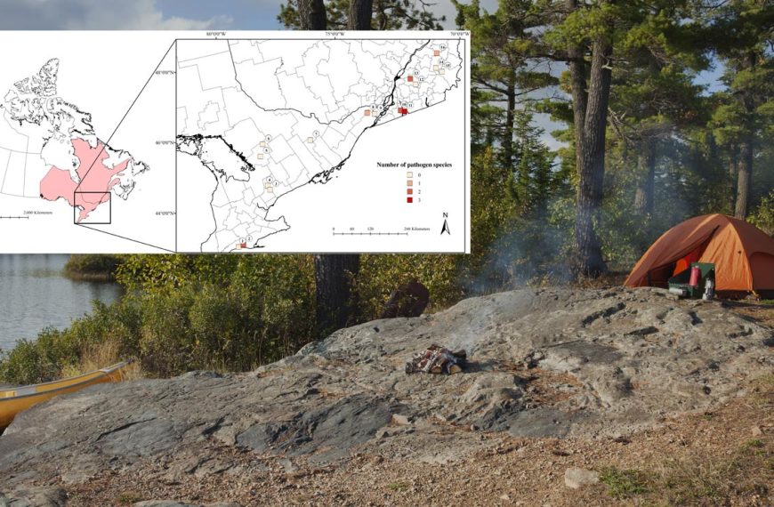 A campsite, and a map of the testing sites of this research.