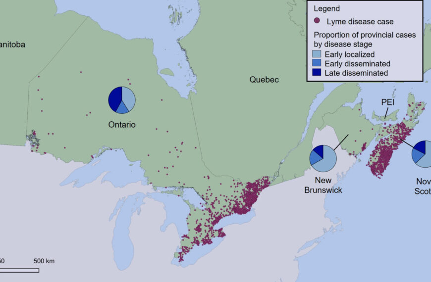 Geographic distribution of Lyme disease cases and proportion of cases by disease stage, Canada, 2009–2019*.