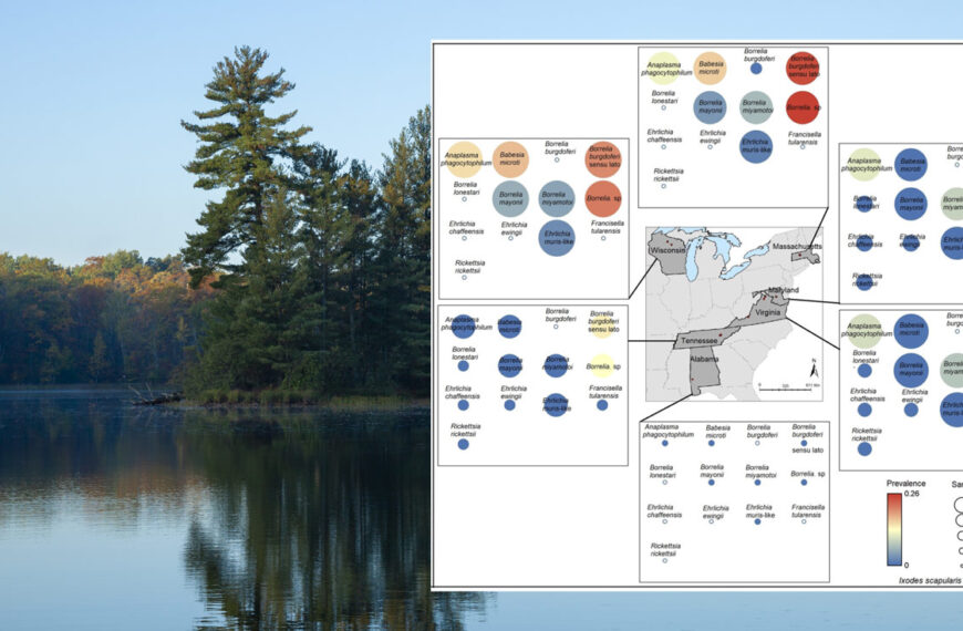 A figure with a map hovers over top of a picturesque forest and lake in autumn.