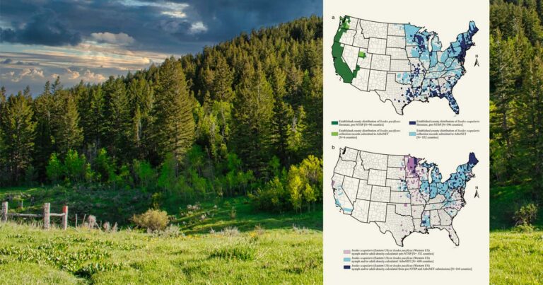 Two maps of US counties where ticks are surveilled, are overlayed onto a beautiful forested hill and grassy foreground.