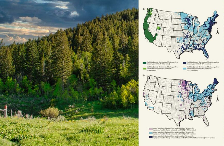 Two maps of US counties where ticks are surveilled, are overlayed onto a beautiful forested hill and grassy foreground.