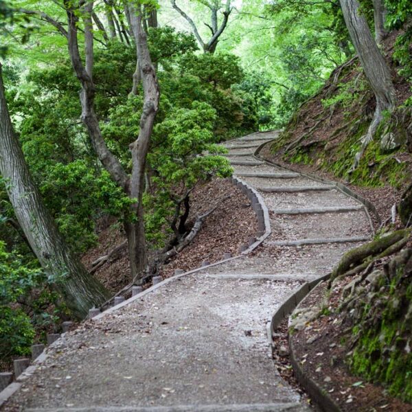 Lyme Disease Awareness Month in Canada: Some big wins but major challenges lie ahead