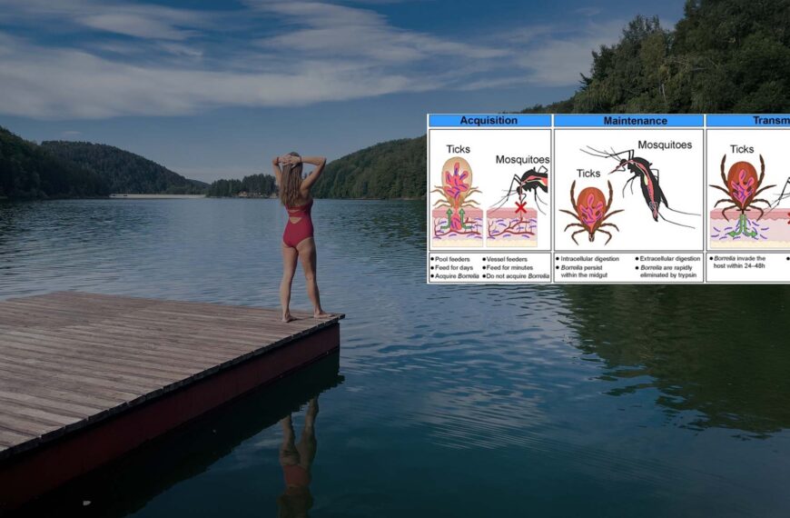 An infographic sits on top of an image of a woman on a lake dock, contemplating swimming, in her red swimsuit.