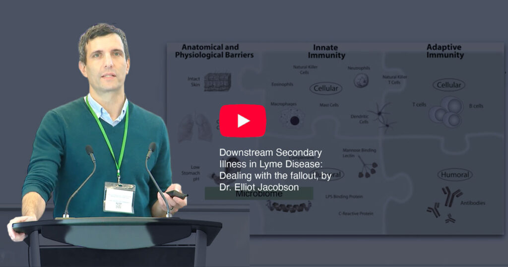 Downstream Secondary Illness in Lyme Disease: Dealing with the fallout, by Dr. Elliot Jacobson.