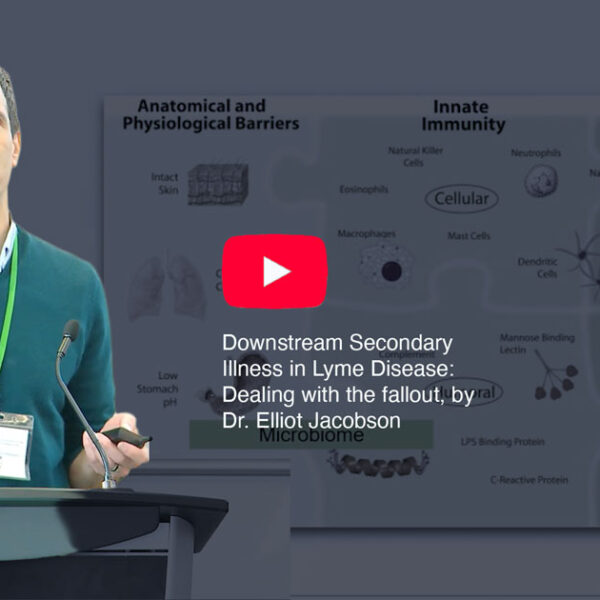 Downstream Secondary Illness in Lyme Disease: Dealing with the fallout, by Dr. Elliot Jacobson.