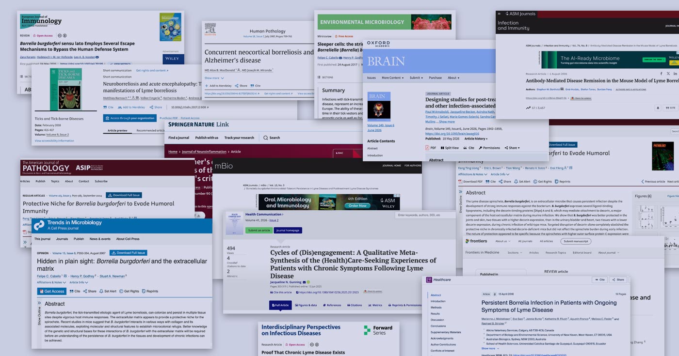 A montage of journal articles at their publishers.