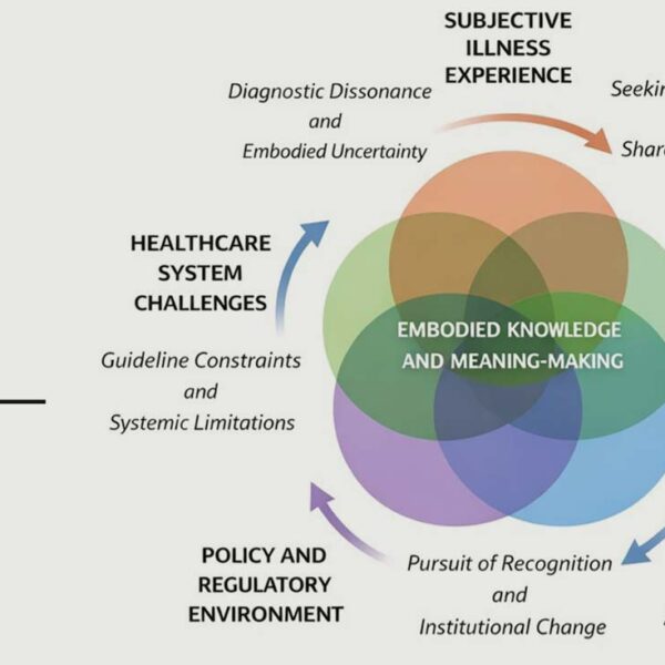 A figure from Levesque et al's paper of the cycle of meaning-making that patients experience.